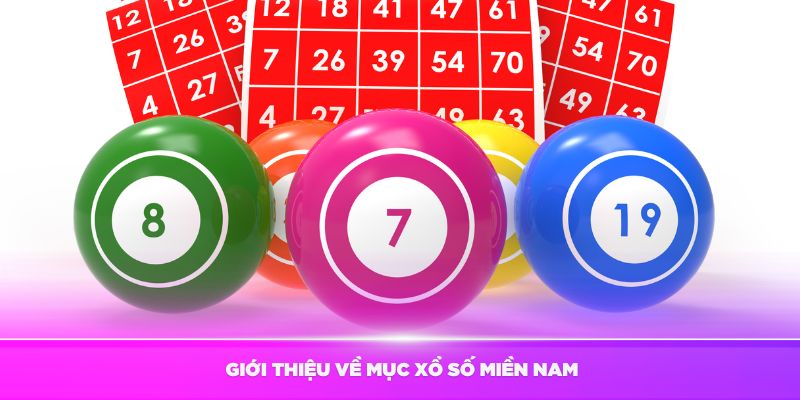 Giới thiệu về mục Xổ số miền Nam tại 16H30