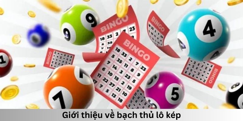 Giới thiệu về bạch thủ lô kép